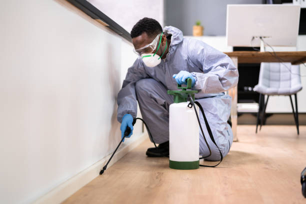 Best Fumigation Services  in Union Point, GA